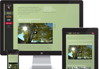 A great web design by Proper, Denver, CO: 