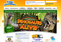 A great web design by E-dreamz, Inc. , Charlotte, NC: 