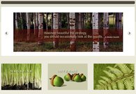 A great web design by Shurn Group, New York, NY: 