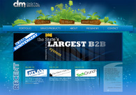 A great web design by Digital Mediums, Honolulu, HI: 