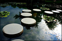 A great web design by David Saravanan, Atlanta, GA: 