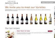 A great web design by Estudio Uno, Santiago Chile, Chile: 