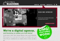 A great web design by Flying Radish, Houston, TX: 
