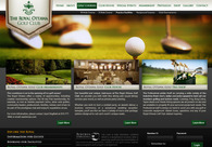 A great web design by N-VisionIT Interactive, Ottawa Ontario, Canada: 