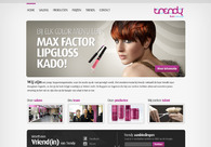 A great web design by Monk Design, Utrecht, Netherlands: 