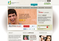 A great web design by Elevation - Web Solutions for Non Profits, Washington DC, DC: 