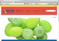 A great web design by Infamia, Washington DC, DC: 