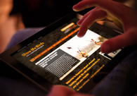 A great web design by MyModernWeb, Four States, MO: Responsive Website, Marketing Website
, Travel
, Wordpress
