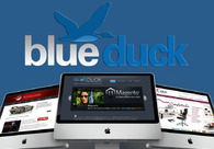 A great web design by Blue Duck, New York, NY: 
