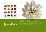 A great web design by Common Sense Design, Toronto, Canada: 