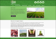 A great web design by Frontera Marketing Group, Quad Cities, IA: 