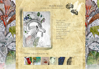 A great web design by Justyna Stoszek, Cracow, Poland: 