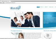 A great web design by Blue Air Consulting, LLC, Jacksonville, FL: 