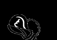 A great web design by Glo Web Group, Salt Lake City, UT: 