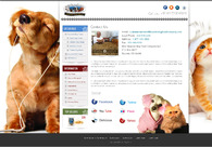 A great web design by Magical Web Weave, Washington DC, DC: 