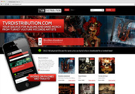 A great web design by Mindsize Media, Rockford, IL: 