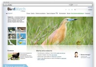 A great web design by Valery Titov studio, Moscow, Russia: 