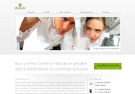 A great web design by Bangdesign, Paris, France: 