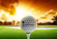 A great web design by Jivaldi, LLC, San Francisco, CA: Website, Marketing Website
, Sports & Fitness
, Design Only
