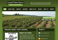 A great web design by Kashurba Web Design Group, Pittsburgh, PA: 
