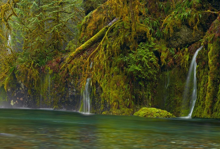 A great web design by Designing and Photography is the diet of business, Denver, CO: 