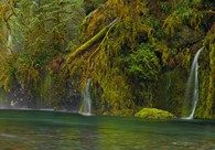 A great web design by Designing and Photography is the diet of business, Denver, CO: 