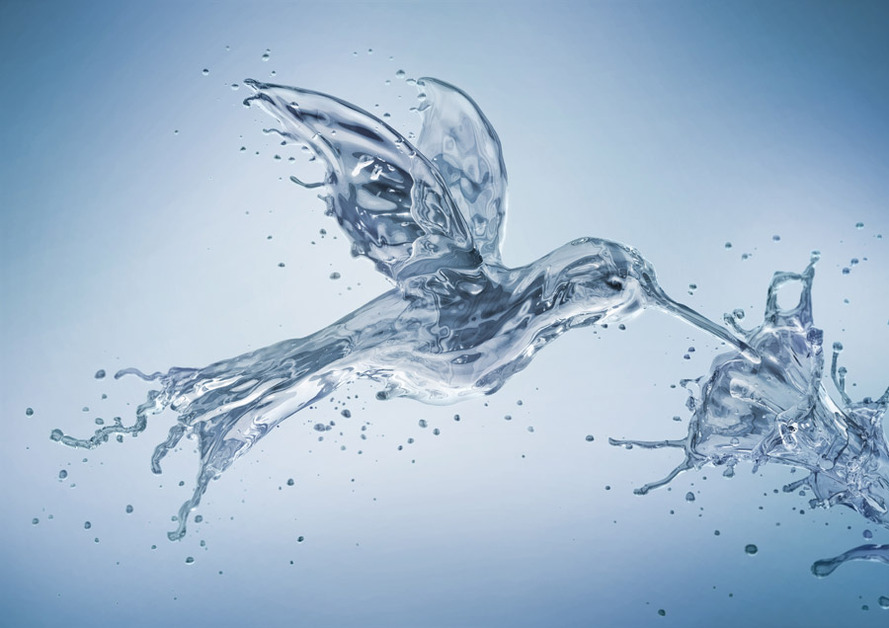 A great web design by Radoxist, Bratislava, Slovakia: 