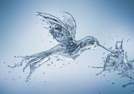 A great web design by Radoxist, Bratislava, Slovakia: 