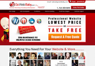 A great web design by Gowebbaby, Detroit, MI: 