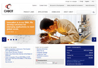 A great web design by Ayantek, LLC, Boston, MA: 