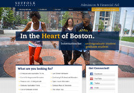 A great web design by BlueLuna, Boston, MA: 
