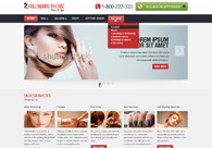 A great web design by The Bari Group, Chicago, IL: 