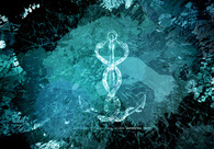 A great web design by The Codega :: Creative, Los Angeles, CA: 