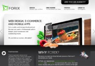 A great web design by Forix Seattle, Seattle, WA: 