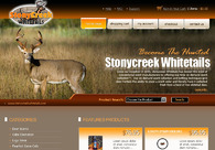 A great web design by CNC Web Solutions, Chicago, IL: 
