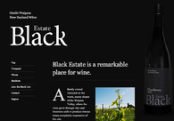 A great web design by Sons & Co., Christchurch, New Zealand: 