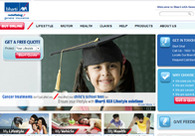 A great web design by Outsource Web Design Company, Indonesia, Indonesia: 