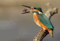 A great web design by Business Marketing Power, Minneapolis, MN: 