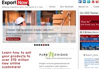 A great web design by Anant Corporation, Washington DC, DC: 