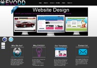 A great web design by EVODD, New York, NY: 