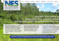 A great web design by Optimal Digital Marketing, Appleton, WI: 