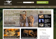 A great web design by Brick Factory, Washington DC, DC: 