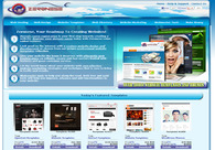 A great web design by Zeronese, Inc., New York, NY: 