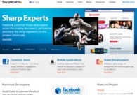 A great web design by Social Cubix, Washington DC, DC: 