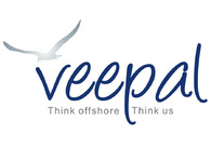 A great web design by Veepal LLC, Las Vegas, NV: 