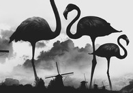 A great web design by Mark Rost, Poznan, Poland: 