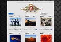 A great web design by Denst, New York, NY: 