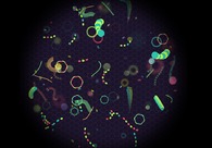 A great web design by CocoBongo, Barcelona, Spain: 