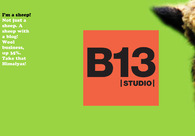 A great web design by B13 Studio, Devens, MA: 