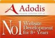 A great web design by Adodis Technologies Private Limited, Dallas, TX: 